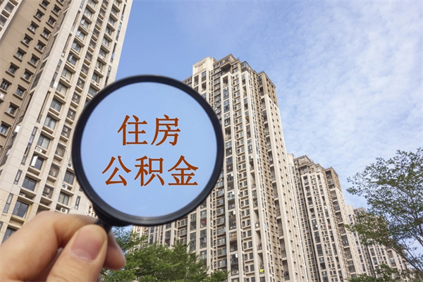 个人公积金管理中心官网-大悟公积金代办平台